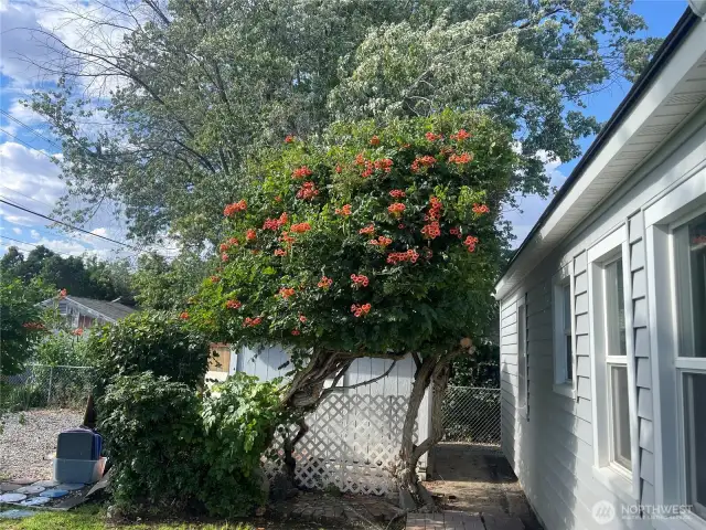 Back of home