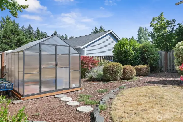 Green house in large backyard