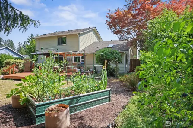 Raised bed for veggies!