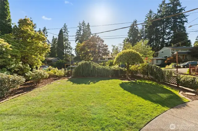 LUSH mature landscaping and privacy.