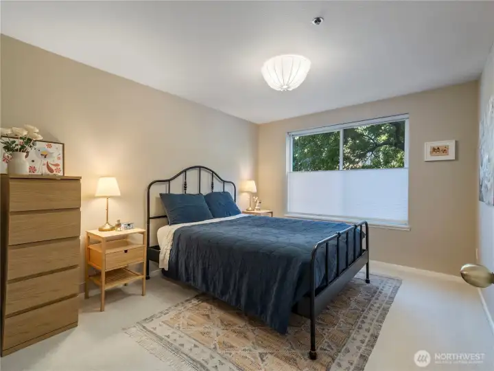 Spacious primary bedroom with north facing window.