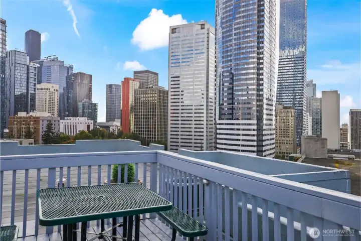 Views from Rooftop Deck