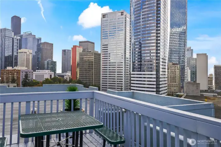 Views from Rooftop Deck