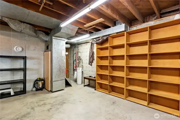 Furnace and water filter