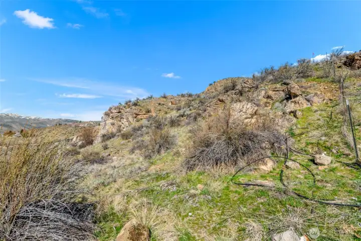 See the poles marking the boundary lines near the top of the eastern property line.