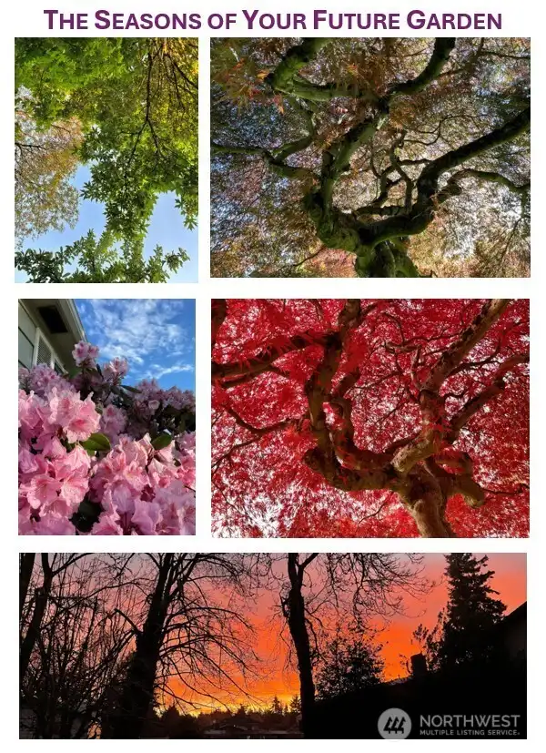 The everchanging live art that nature has in store for you in this home.