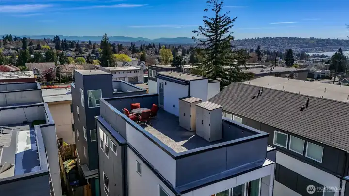Super large rooftop deck with storage, views of Lake Union and Mt Rainier.