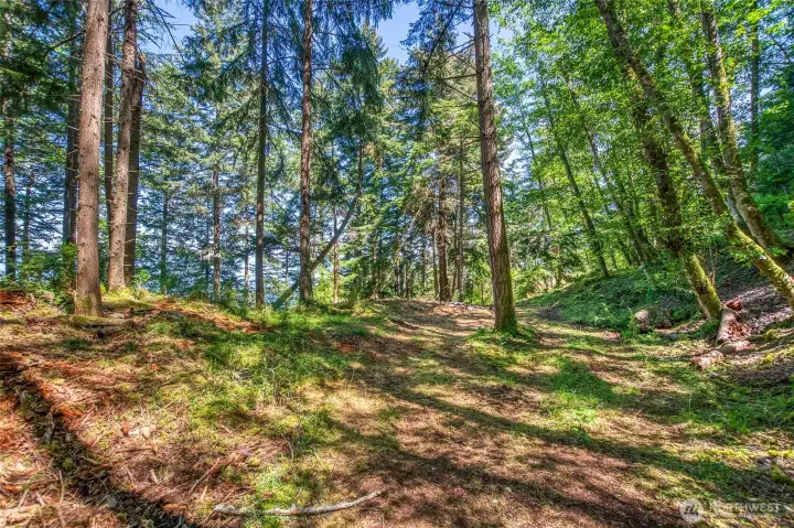 Gentle, usable areas throughout the property create inviting places to relax, gather, and enjoy the quiet beauty of island living. Gentle, usable areas throughout the property create inviting places to relax, gather, and enjoy the quiet beauty of island living.