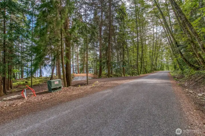 Well-maintained Raccoon Point Road provides beautiful and easy access to the Atticus Lane property, winding through a peaceful forested setting with glimpses of the water along the way. Well-maintained Raccoon Point Road provides beautiful and easy access to the Atticus Lane property, winding through a peaceful forested setting with glimpses of the water along the way.