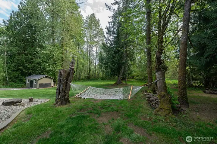 View of the backyard when you are at the garden area.