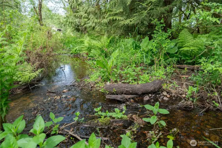 The shallow stream on the eastern end of the property leads northwest towards the street.  You can see the neighbors barn in this picture.