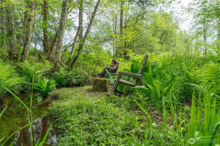 There is an area set up along the creek for taking in the scenery with the singing birds and the frogs.
