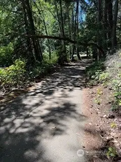 Island Lake Park pathway. Island Lake Park pathway.