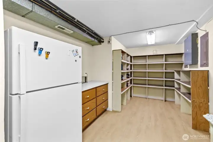 Lower level kitchen with tons of pantry space