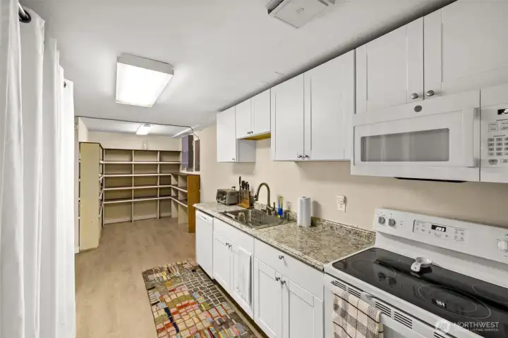 Lower level kitchen