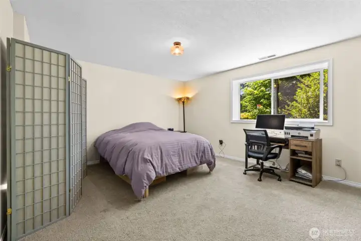 Lower level bedroom 1