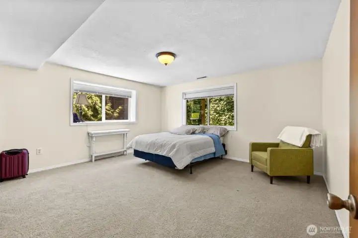 Lower level bedroom 2