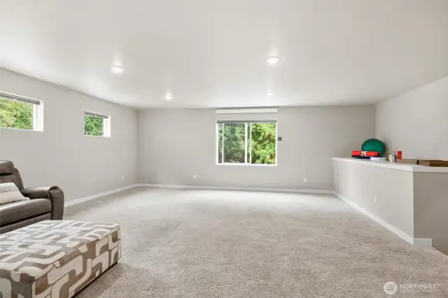 Large 24' x 24' Bonus Room