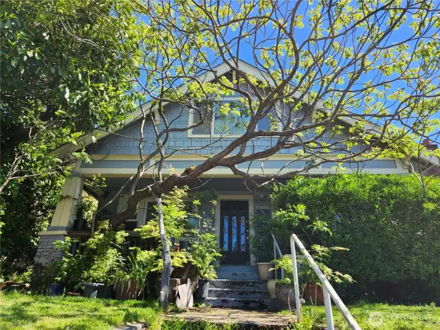 house front
