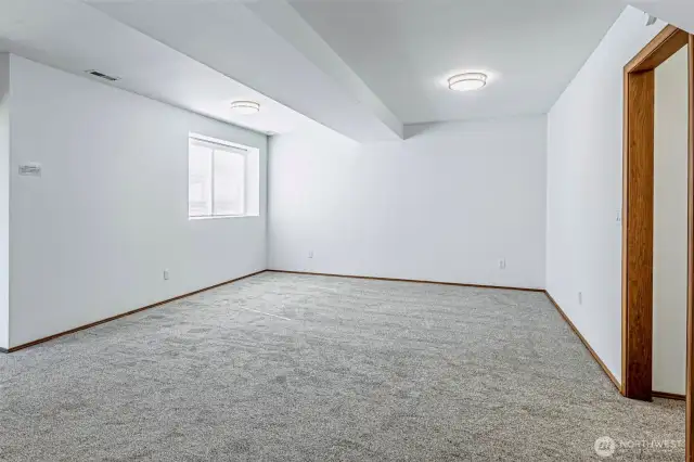 HUGE main basement room would be great for a rec room, playroom, etc.