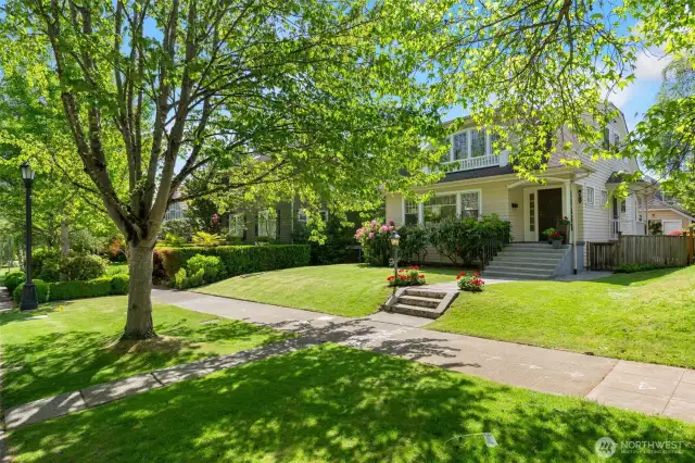 Sited on what is considered one of the most coveted streets in Montlake.