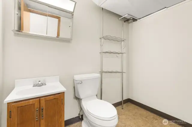 Lower-level half bath—simple and functional. Room to improve, for sure!