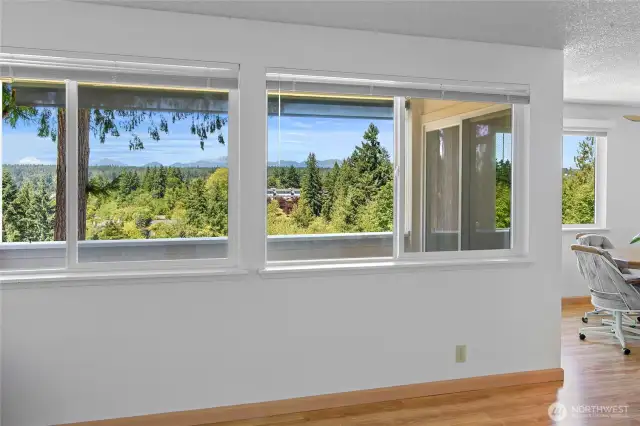 Westerly views of the area and Olympics .from the living room.  Solar shades can be used if/when needed