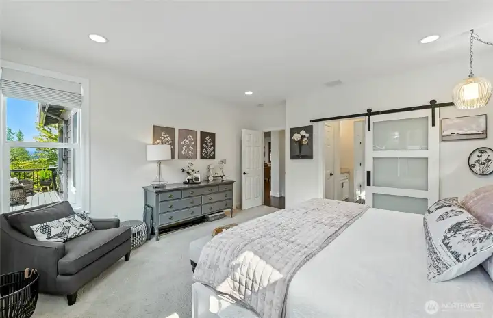 The barn door was added to increase space efficiency.