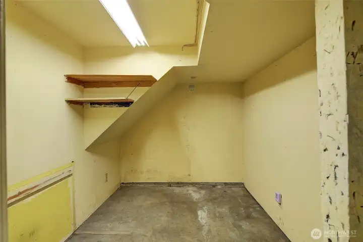 Unfinished basement with tons of storage, systems, and garage access.
