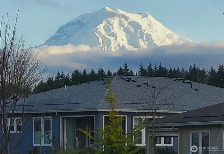 Mt Rainier from driveway