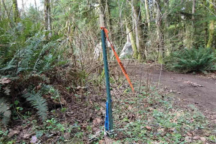 Water line on property.