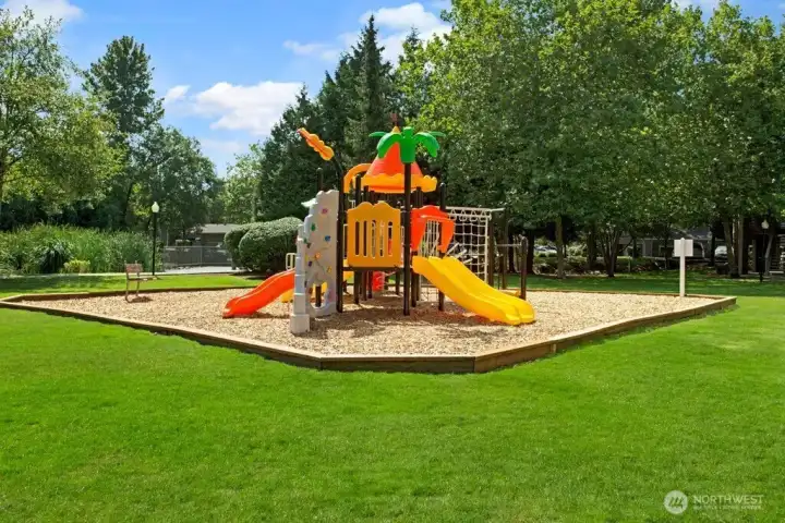Community park and playground