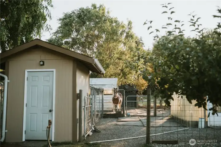 Chicken coop, wired with electric.