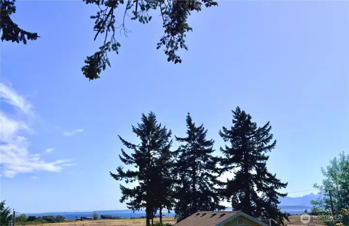 Views of Admiralty Inlet and the Olympic Mountains