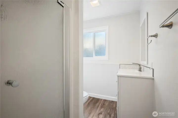 Lower Level Hall Bathroom