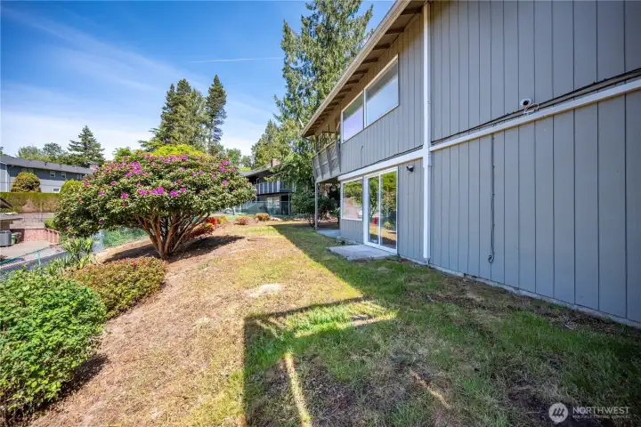 Terraced Back Yard