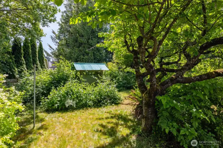 Mature trees and a garden shed tucked in the bushes give Secret Garden vibes