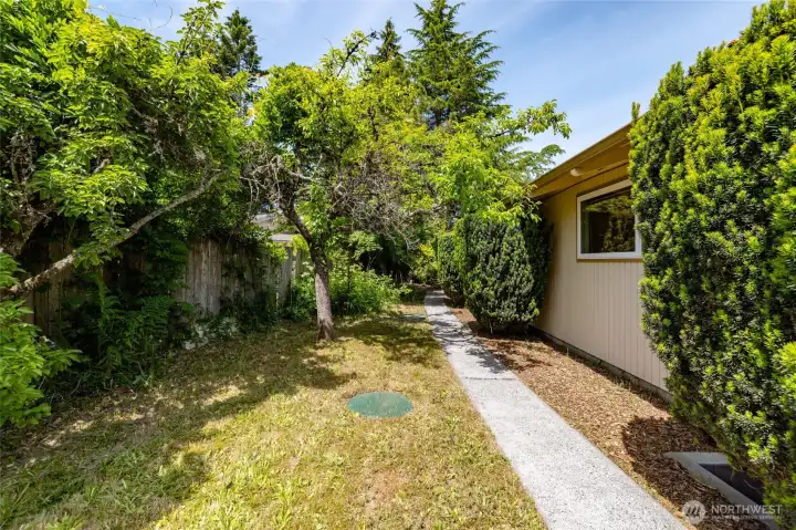 Along the side of the home