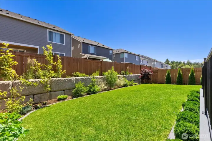 Expansive backyard view showcasing a perfectly graded green lawn, robust privacy fencing, and a clean stone retaining border. Expansive backyard view showcasing a perfectly graded green lawn, robust privacy fencing, and a clean stone retaining border.