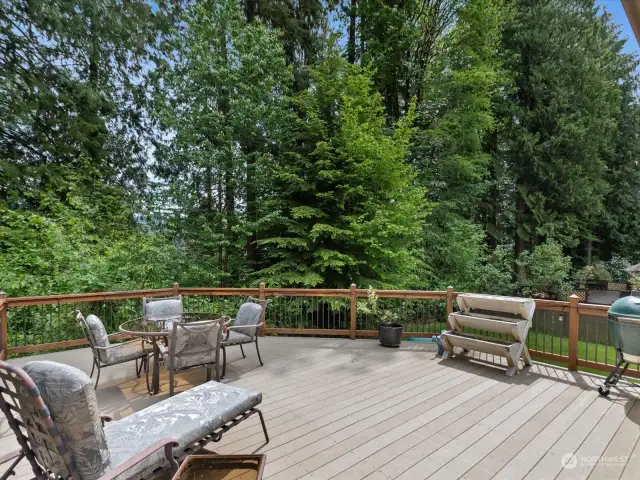 The fantastic deck out back extends into the woods, creating a perfect spot for entertaining guests or enjoying peaceful moments surrounded by nature.