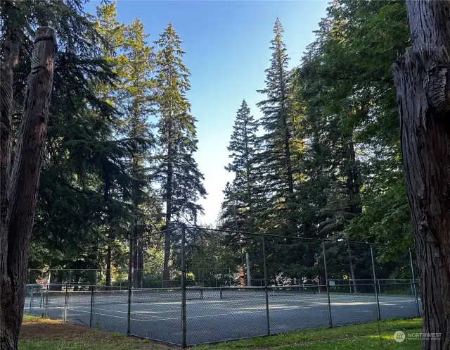 Walk to Whatcom Falls tennis courts, playgrounds and trails in less than 20 minutes!!