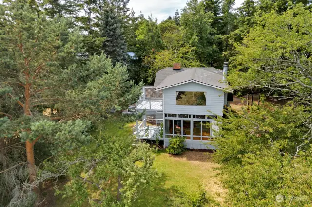 Cozy home amongst the trees