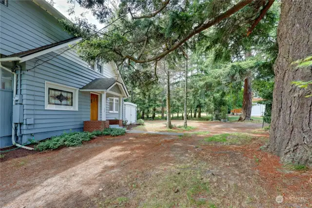 Side yard looking at the entrance of the home and driveway.