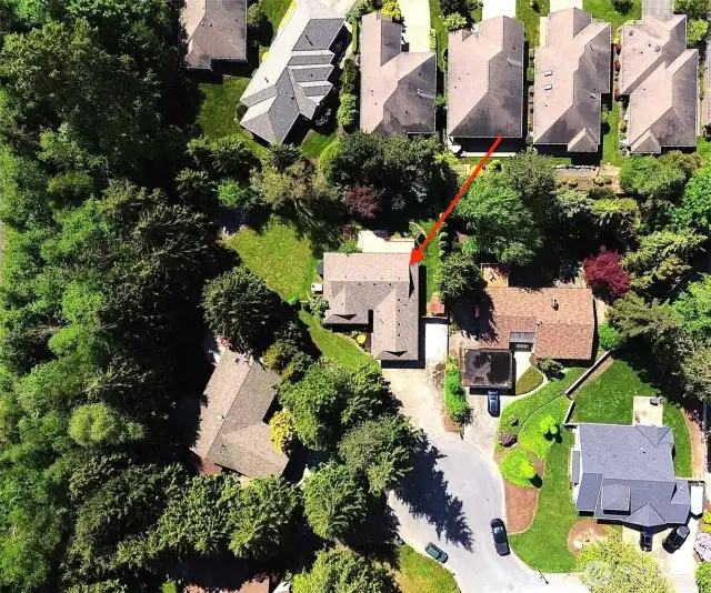 .42 acres of private yard at the end of a cul-de-sac.