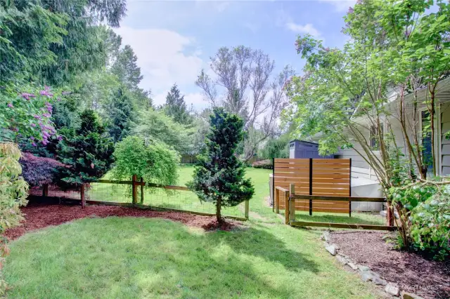 side yard