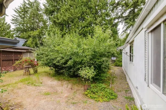 This is part of the garden, showing some of the roses, and the six espaliered apple trees of various varieties.