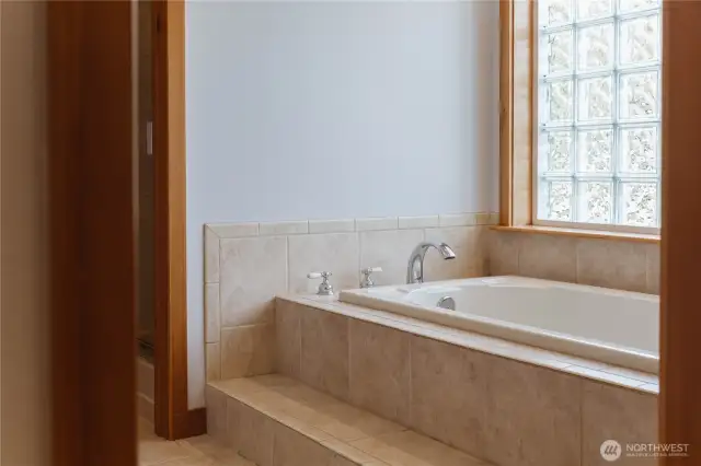 Tranquil primary suite bathtub