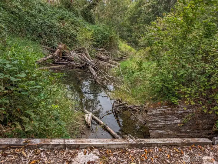 Bridge across Burton Creek