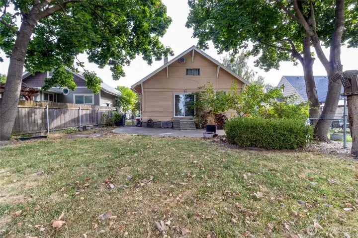 Spacious back yard with beautiful large trees