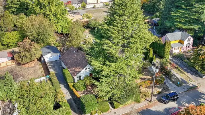 Surrounded by mature trees, this home combines a private retreat with a community vibe, enhanced by a long driveway and plenty of parking.